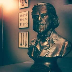 15355883_786723888135634_309432304_n